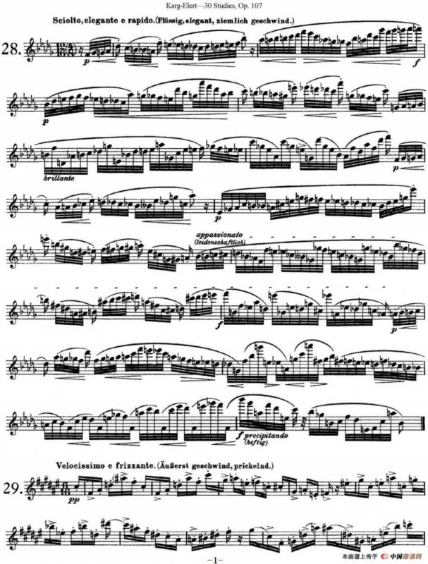 卡-伊勒特30首长笛练习曲Op.107（NO.28-NO.30）