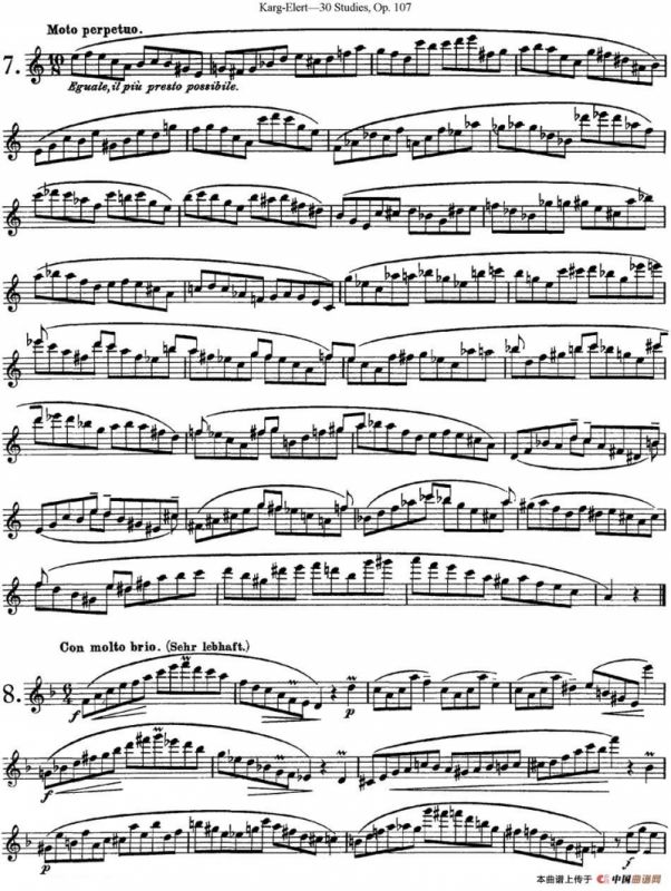 卡-伊勒特30首长笛练习曲Op.107（NO.4-NO.9）