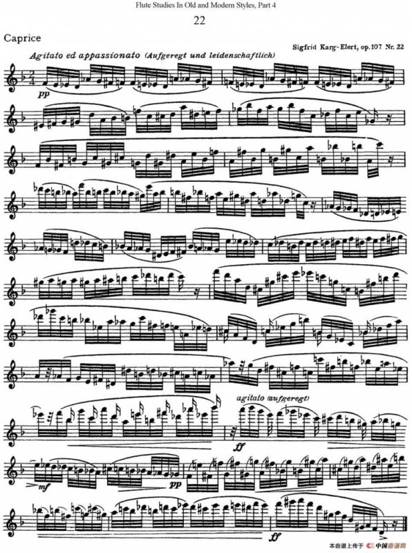 斯勒新老风格长笛练习重奏曲（第四部分）（NO.22）