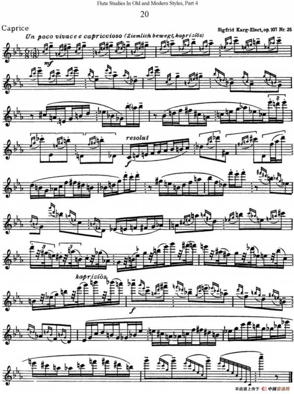 斯勒新老风格长笛练习重奏曲（第四部分）（NO.20）