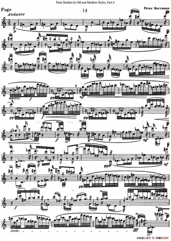 斯勒新老风格长笛练习重奏曲（第四部分）（NO.14-NO.15）