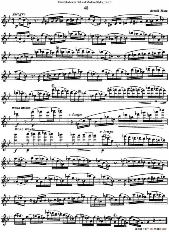 斯勒新老风格长笛练习重奏曲（第三部分）（NO.48）