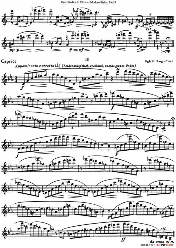 斯勒新老风格长笛练习重奏曲（第三部分）（NO.38-NO.40）