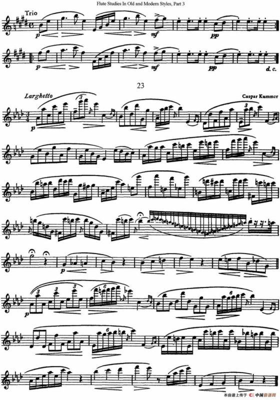 斯勒新老风格长笛练习重奏曲（第三部分）（NO.22-NO.23）
