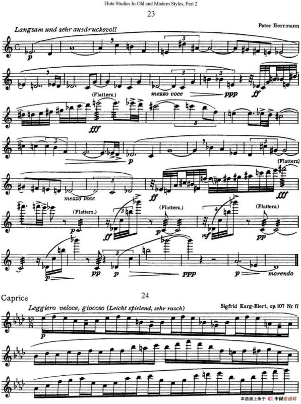 斯勒新老风格长笛练习重奏曲（第二部分）（NO.23-NO.24）