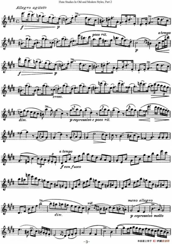 斯勒新老风格长笛练习重奏曲（第二部分）（NO.21）