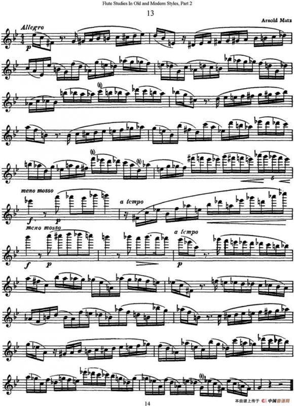 斯勒新老风格长笛练习重奏曲（第二部分）（NO.13）