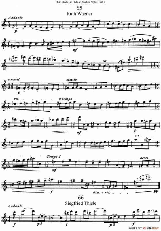 斯勒新老风格长笛练习重奏曲（第一部分）（NO.65-NO.67）
