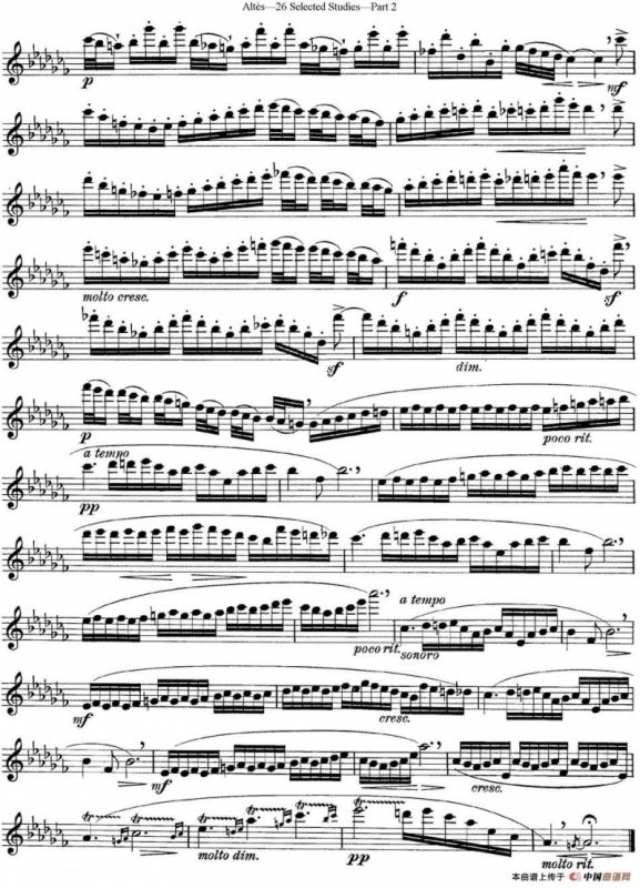 阿尔泰斯26首精选长笛练习曲（NO.20）