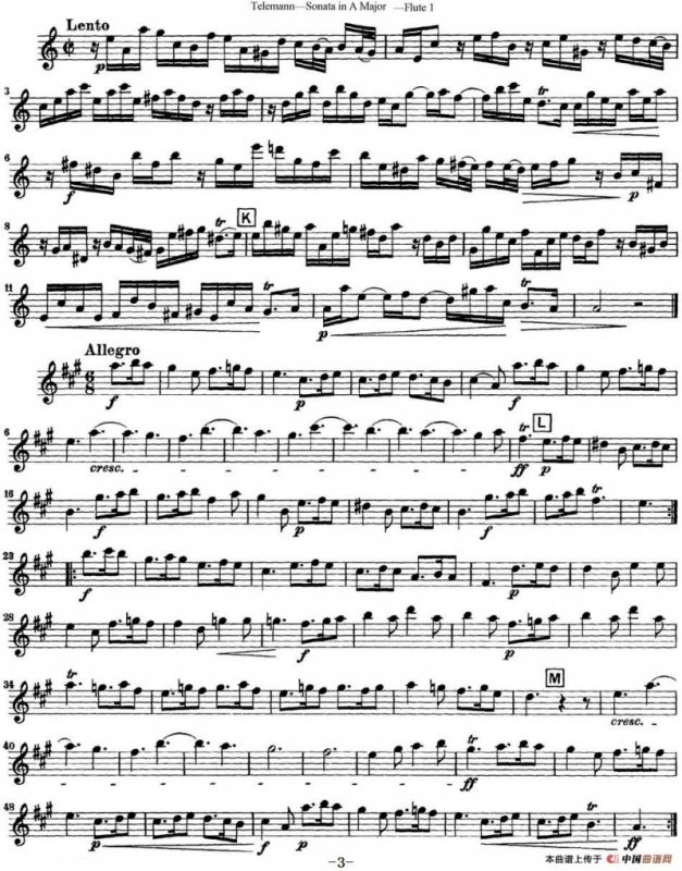 台莱曼A大调双长笛与钢琴奏鸣曲