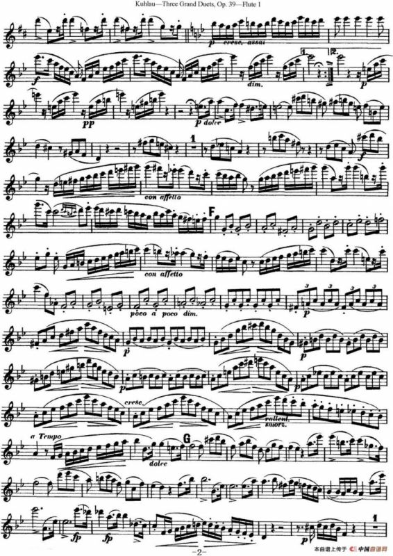 库劳长笛二重奏大练习曲Op.39——Flute 1（No.2）