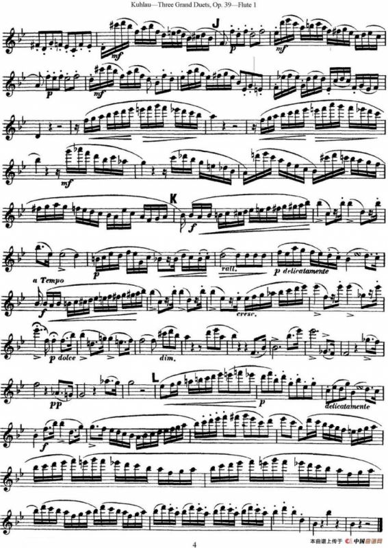 库劳长笛二重奏大练习曲Op.39——Flute 1（No.2）