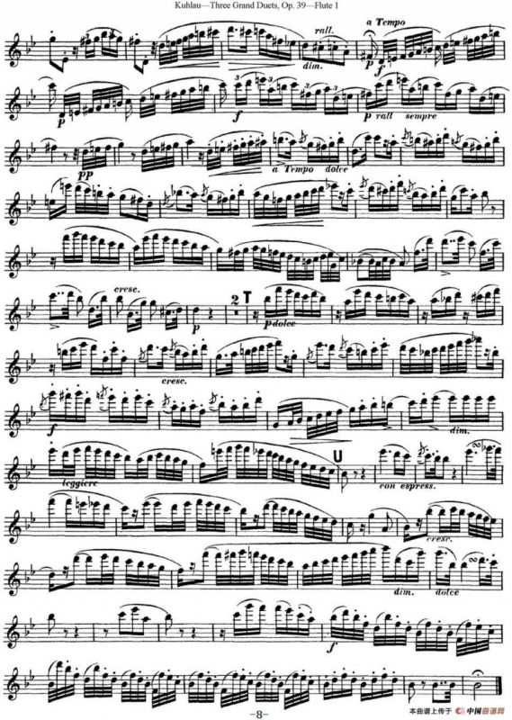 库劳长笛二重奏大练习曲Op.39——Flute 1（No.2）