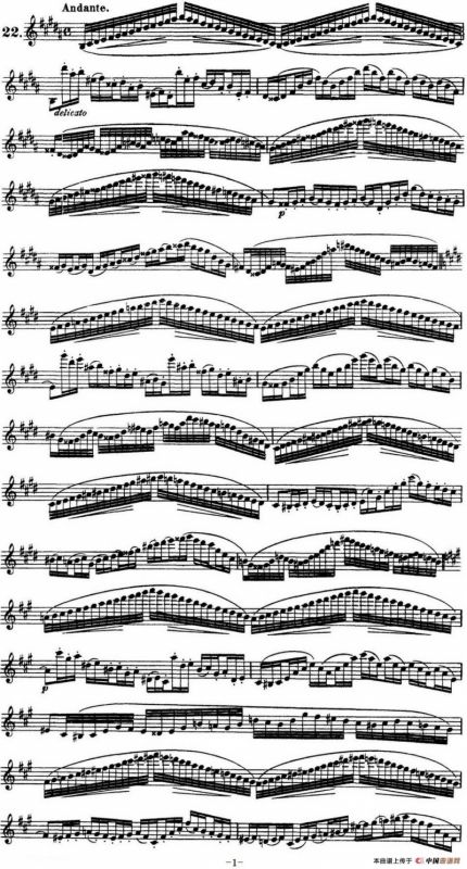 柯勒30首高级长笛练习曲作品75号（NO.22）
