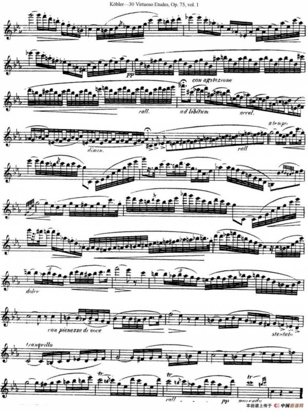 柯勒30首高级长笛练习曲作品75号（NO.7）