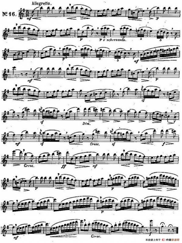 二十首练习曲作品131号（NO.16）