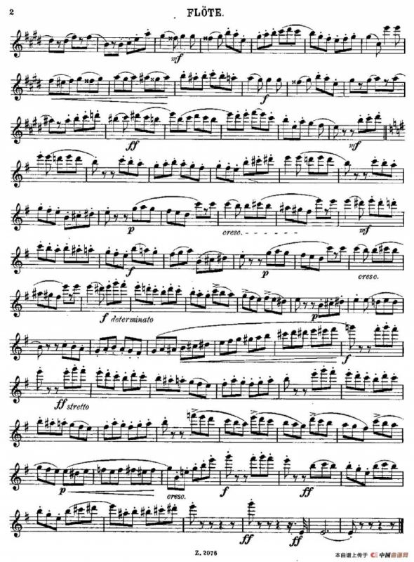 Tarantelle（Op.55 No.8）