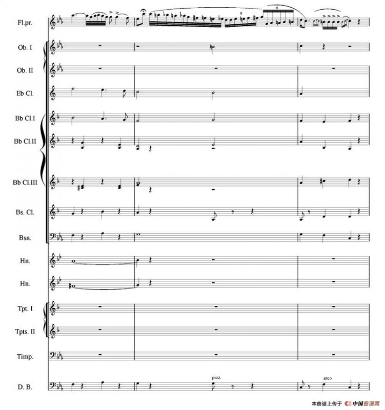 流浪者之歌（长笛与管乐队）