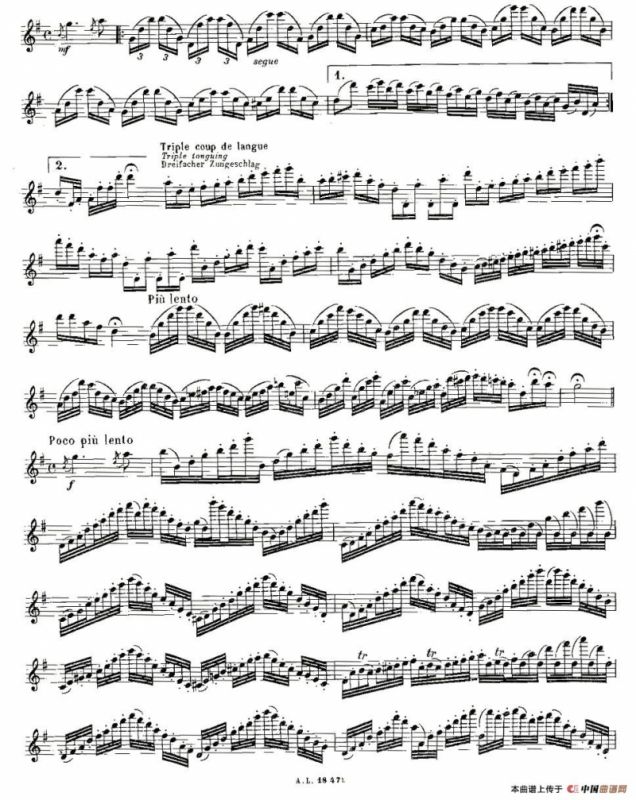 基于维尼亚夫斯基练习曲的10首长笛练习曲之10（Moyse - 10 Studies After Wieniawski）