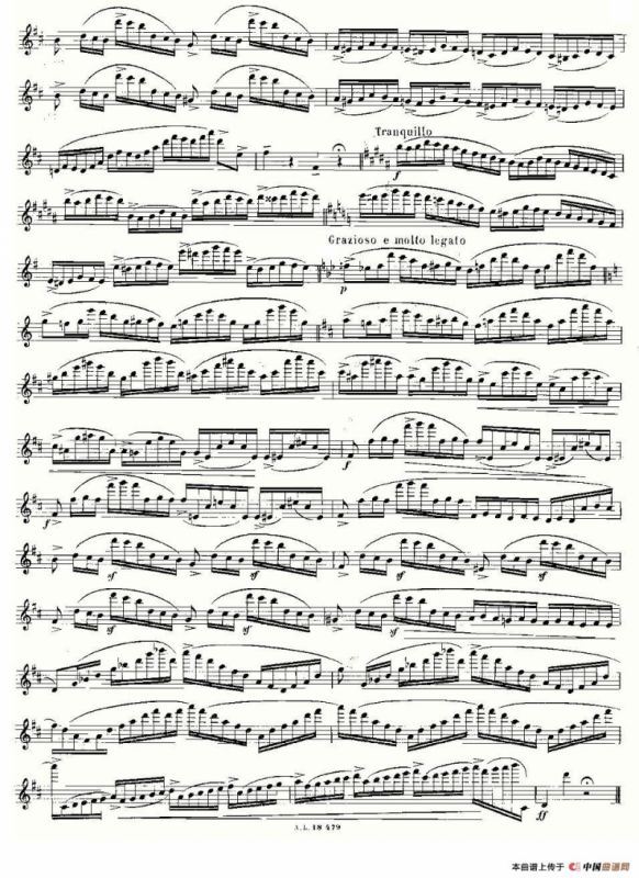 基于维尼亚夫斯基练习曲的10首长笛练习曲之1（Moyse - 10 Studies After Wieniawski）