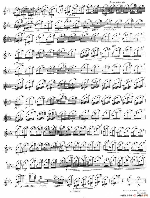 12首大技巧练习曲之12