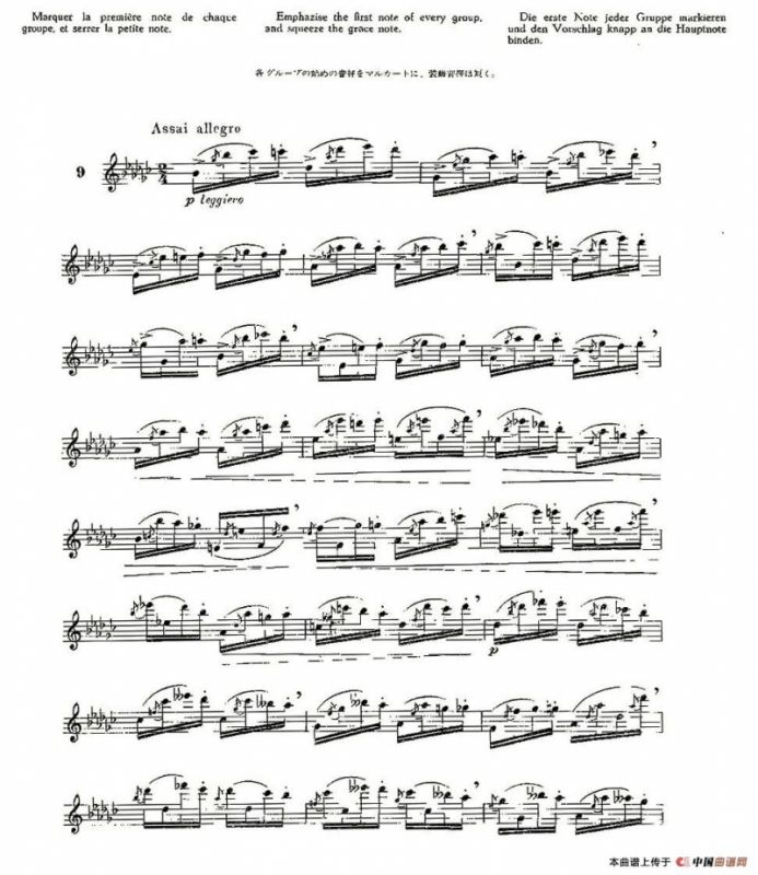 12首大技巧练习曲之9