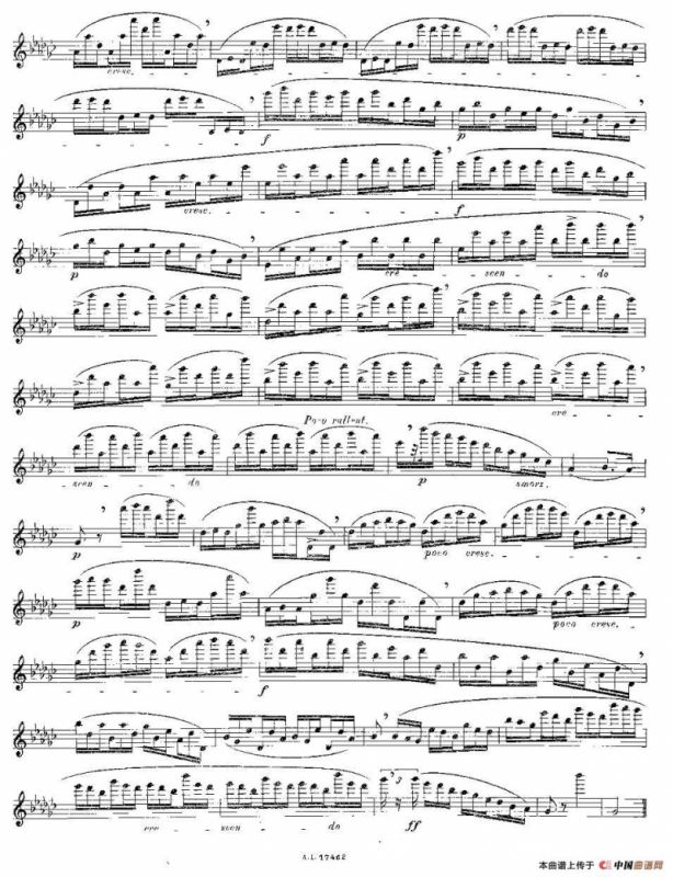 12首大技巧练习曲之7