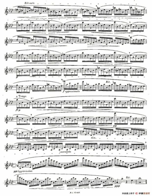 12首大技巧练习曲之6