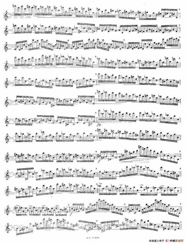 12首大技巧练习曲之5