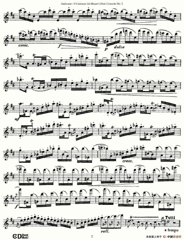 3 Cadenzas for Mozarts flute Concerto No.2
