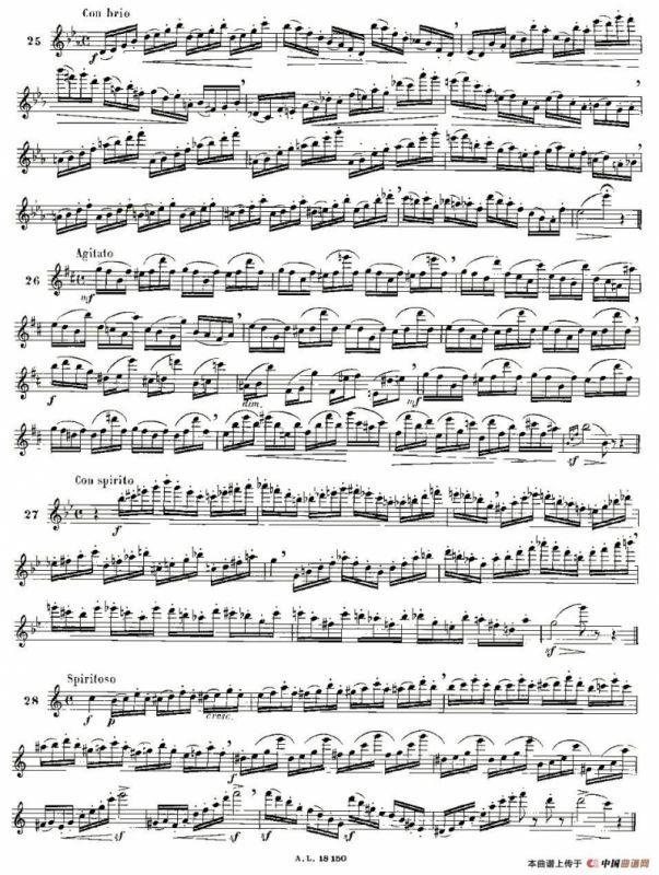 moyse - 100首练习曲之15—28