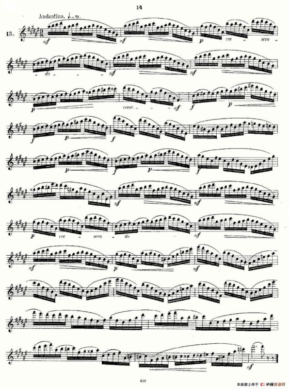 Andersen etude op30 之13—24（练习曲作品30号）