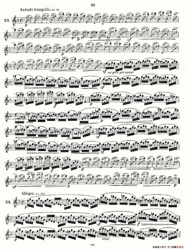 Andersen etude op30 之13—24（练习曲作品30号）