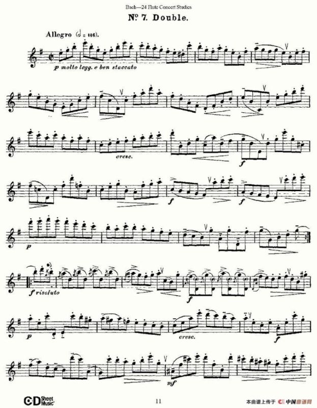 Bach-24 Flutc Concert Studies 之6—10（巴赫—24首长笛音乐会练习曲）