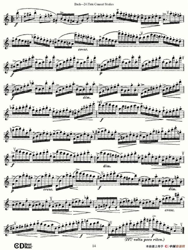Bach-24 Flutc Concert Studies 之6—10（巴赫—24首长笛音乐会练习曲）