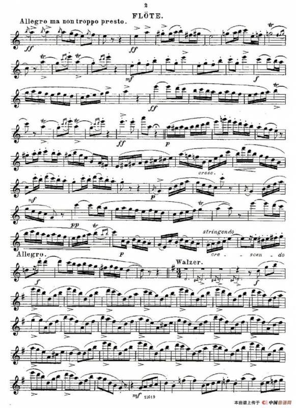 Opern-Transcriptionen.Op.45-7