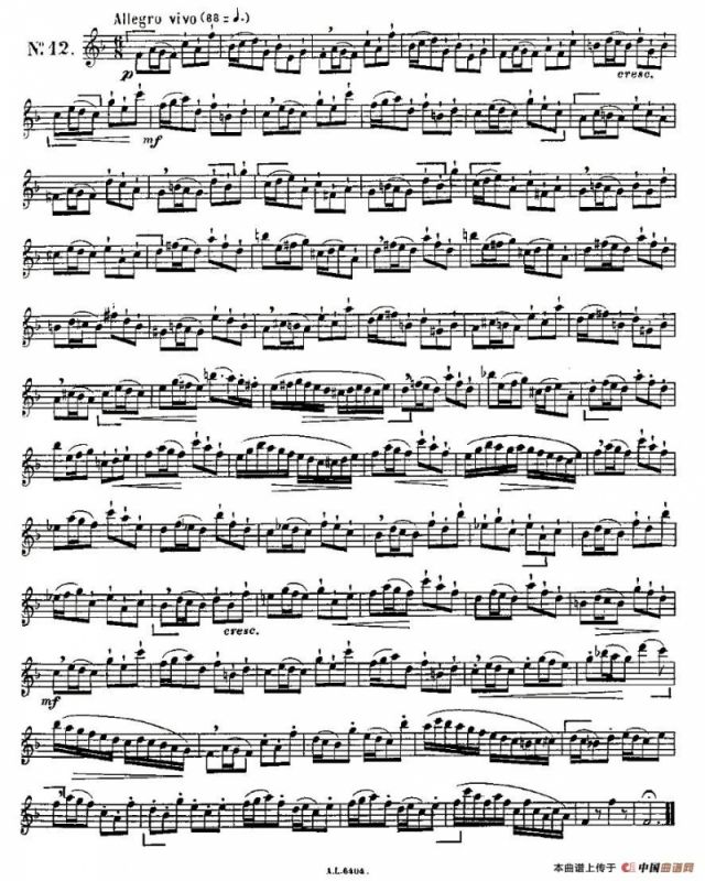 15首如歌的练习曲之11—15