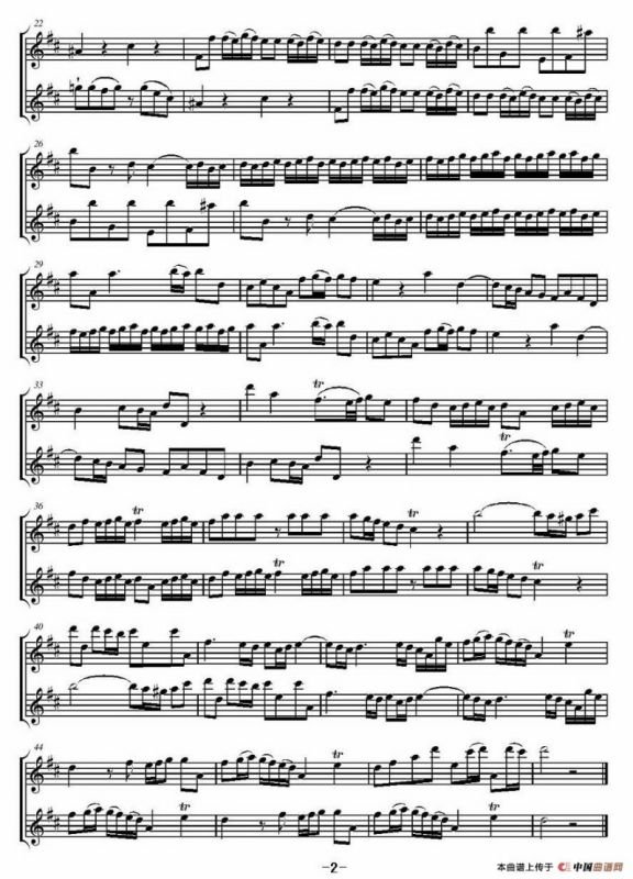 卡农奏鸣曲（二重奏）