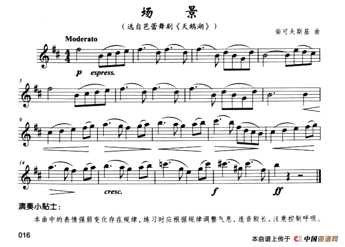 场景（选自《天鹅湖》）