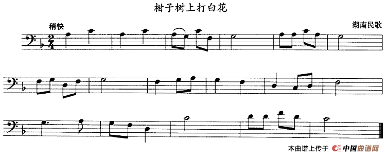 柑子树上打白花（长号）