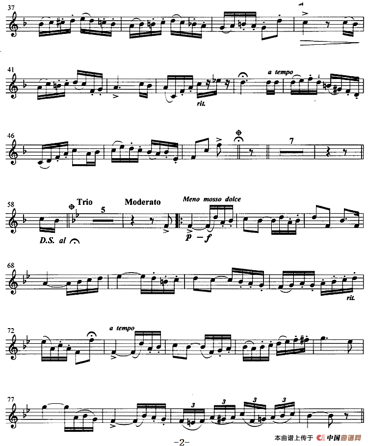 幽谷乐园 （小号）