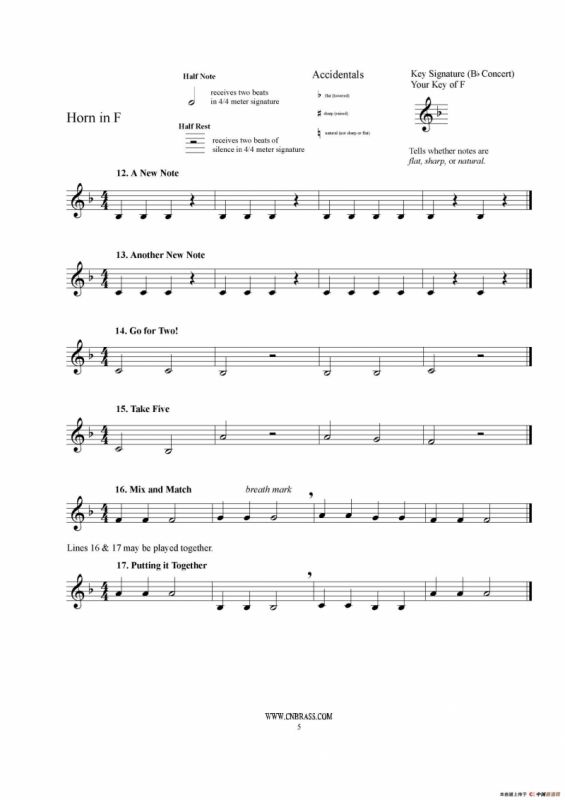 F调圆号初级教程