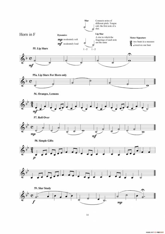 F调圆号初级教程