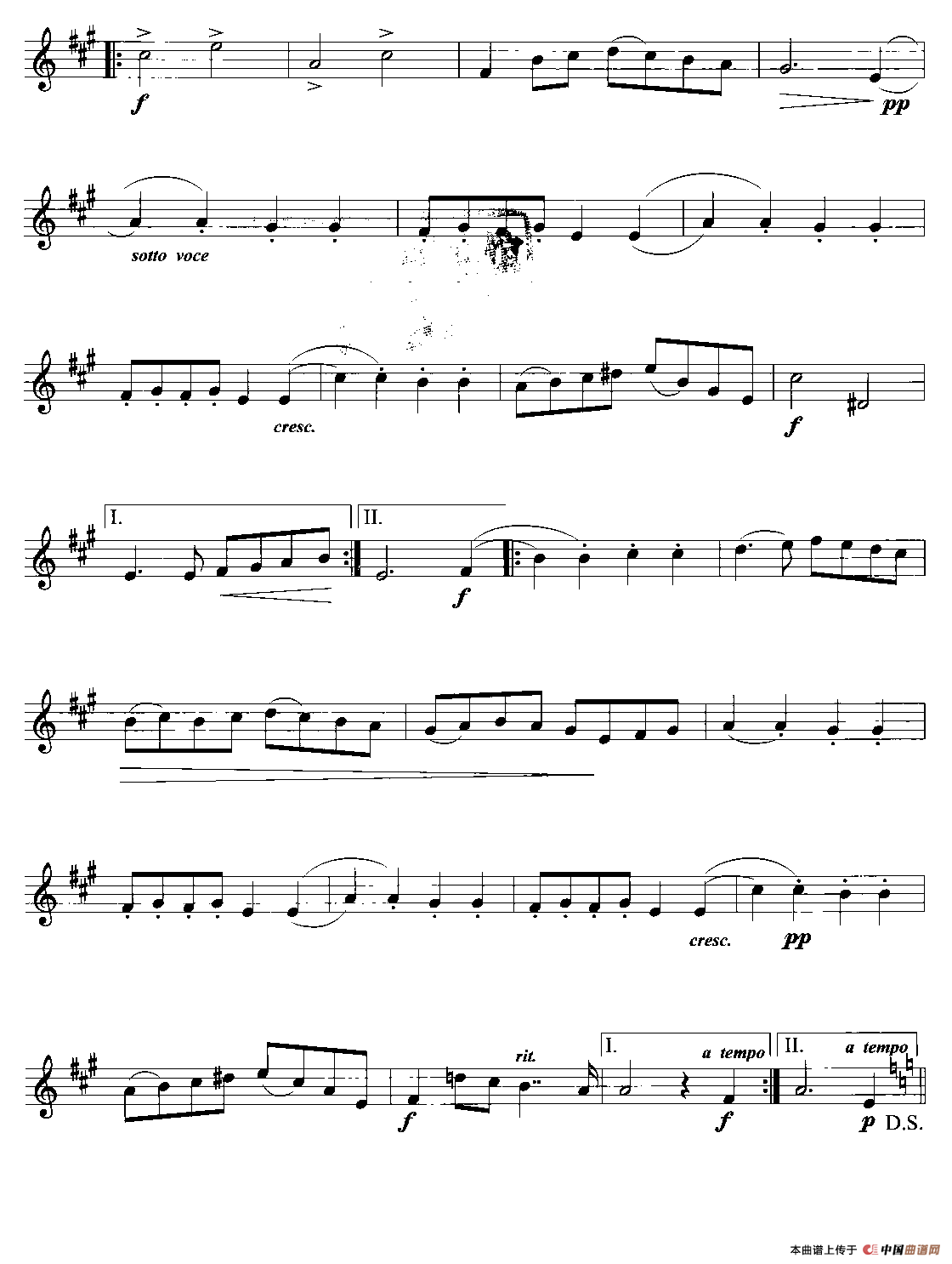 金婚式（小号）