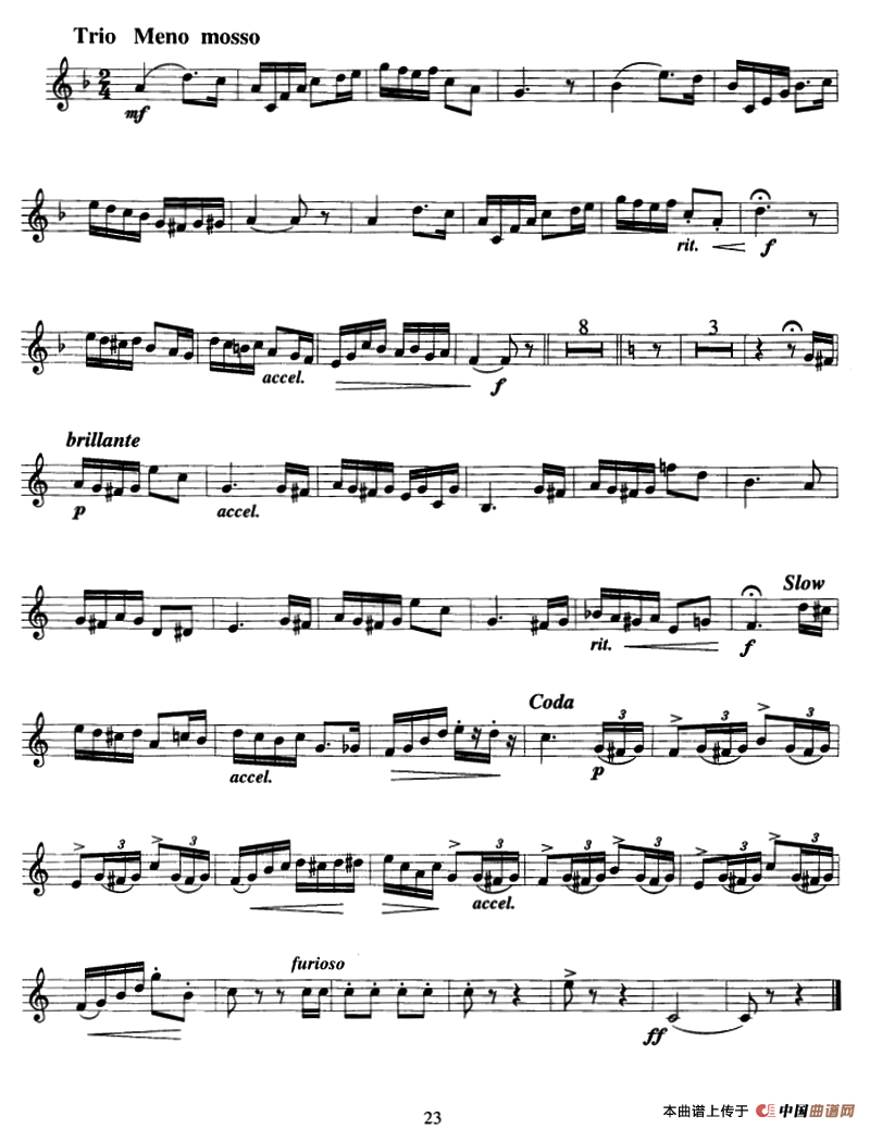 山楂树（小号）