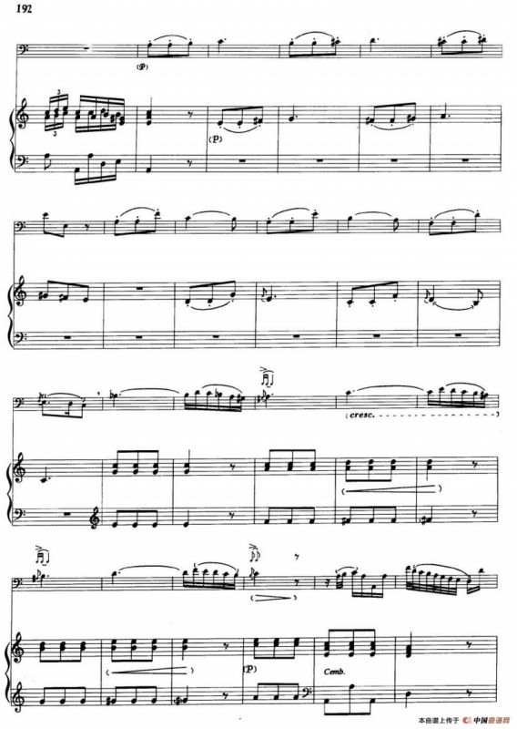 a小调协奏曲（大管+钢琴伴奏）