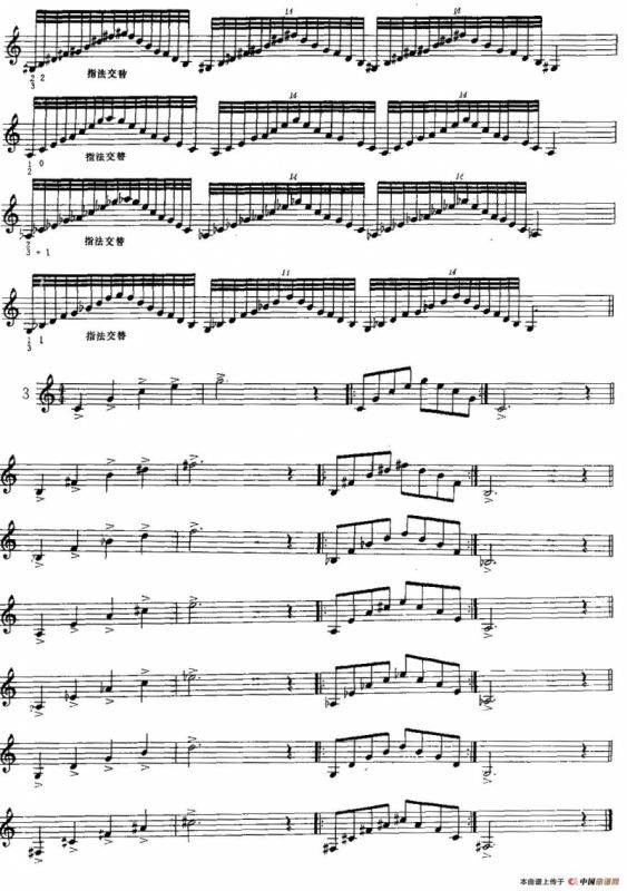 日常琶音练习（小号）