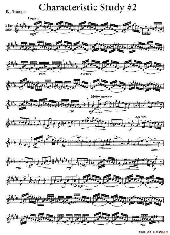 Characteristic Study #2 （小号）