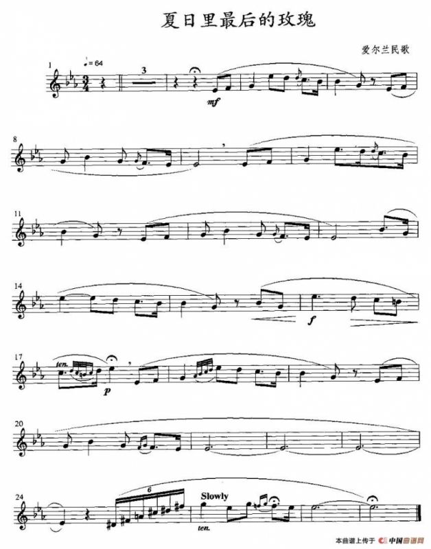 夏日里最后的玫瑰（小号）