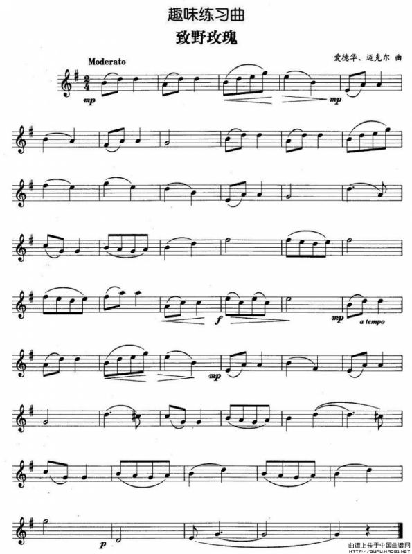 趣味练习曲：致野玫瑰